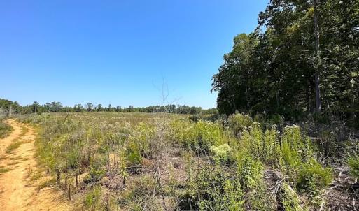 Photo #13 of SOLD property in Off Renrut Rd , Lunenburg, VA 87.0 acres