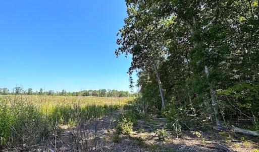 Photo #16 of SOLD property in Off Renrut Rd , Lunenburg, VA 87.0 acres