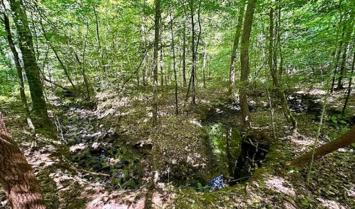 Photo #21 of SOLD property in Off Renrut Rd , Lunenburg, VA 87.0 acres