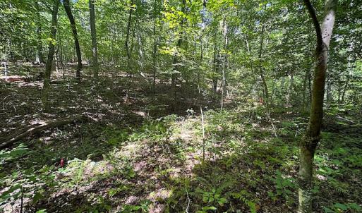 Photo #22 of SOLD property in Off Renrut Rd , Lunenburg, VA 87.0 acres