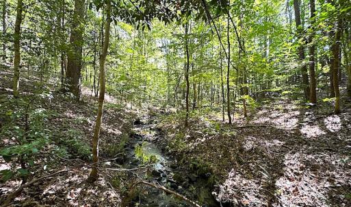 Photo #27 of SOLD property in Off Renrut Rd , Lunenburg, VA 87.0 acres