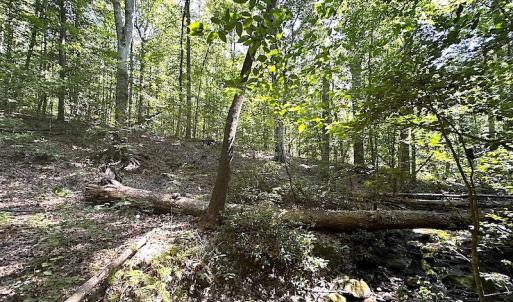 Photo #30 of SOLD property in Off Renrut Rd , Lunenburg, VA 87.0 acres