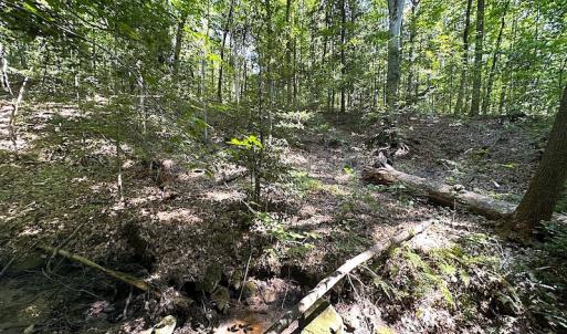 Photo #31 of SOLD property in Off Renrut Rd , Lunenburg, VA 87.0 acres