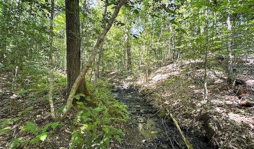 Photo #32 of SOLD property in Off Renrut Rd , Lunenburg, VA 87.0 acres