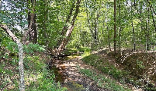 Photo #36 of SOLD property in Off Renrut Rd , Lunenburg, VA 87.0 acres