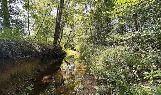 Photo #37 of SOLD property in Off Renrut Rd , Lunenburg, VA 87.0 acres