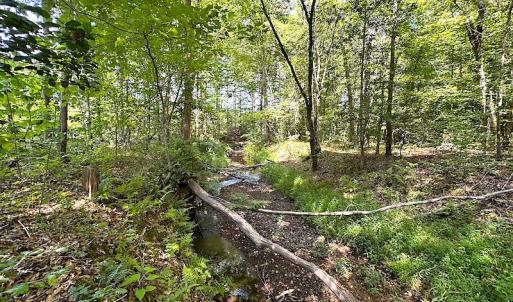 Photo #38 of SOLD property in Off Renrut Rd , Lunenburg, VA 87.0 acres