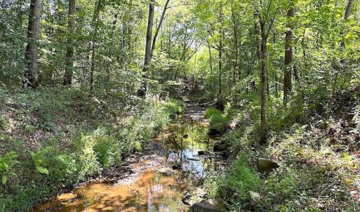 Photo #39 of SOLD property in Off Renrut Rd , Lunenburg, VA 87.0 acres