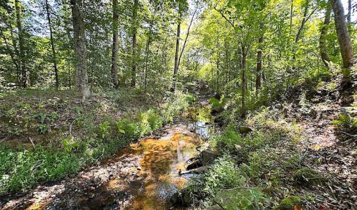 Photo #40 of SOLD property in Off Renrut Rd , Lunenburg, VA 87.0 acres