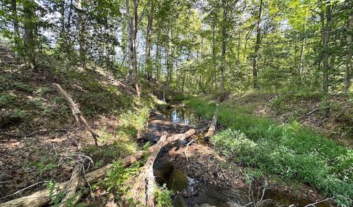 Photo #41 of SOLD property in Off Renrut Rd , Lunenburg, VA 87.0 acres