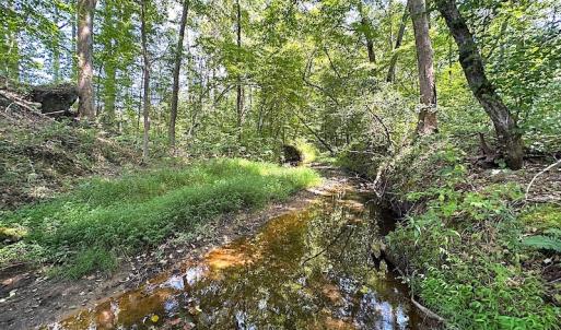 Photo #43 of SOLD property in Off Renrut Rd , Lunenburg, VA 87.0 acres