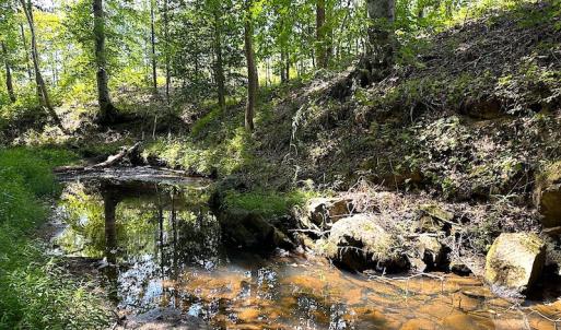 Photo #44 of SOLD property in Off Renrut Rd , Lunenburg, VA 87.0 acres