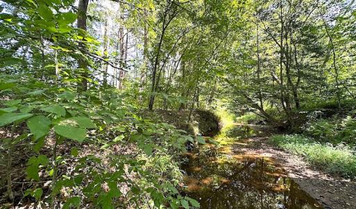 Photo #45 of SOLD property in Off Renrut Rd , Lunenburg, VA 87.0 acres