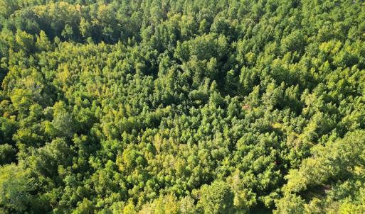 Photo #2 of SOLD property in Off Figure 9 Rd, Council, NC 6.5 acres