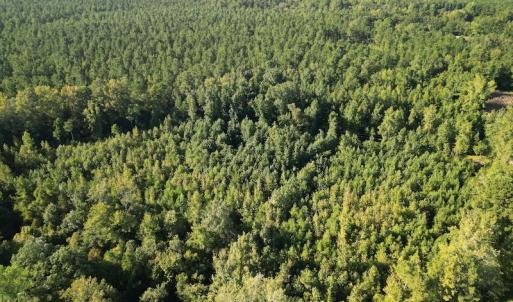 Photo #11 of SOLD property in Off Figure 9 Rd, Council, NC 6.5 acres