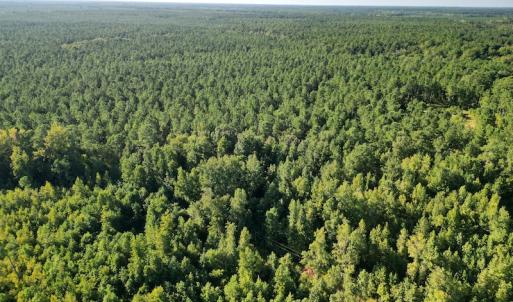 Photo #12 of SOLD property in Off Figure 9 Rd, Council, NC 6.5 acres