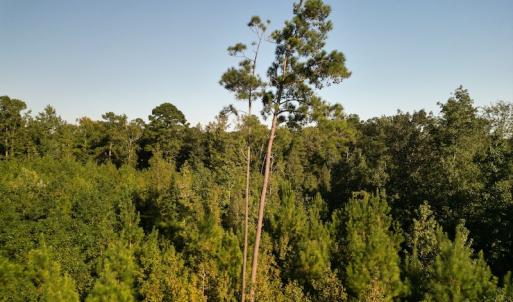 Photo #15 of SOLD property in Off Figure 9 Rd, Council, NC 6.5 acres