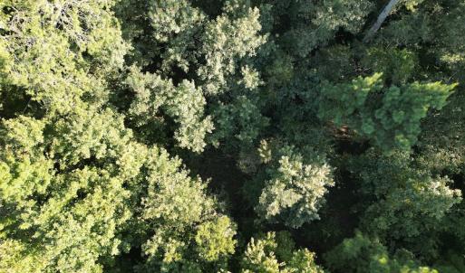 Photo #16 of Off Figure 9 Rd, Council, NC 6.5 acres