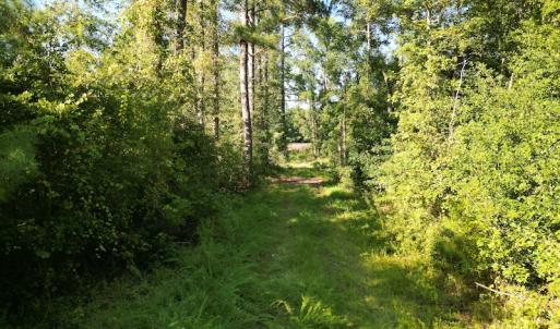 Photo #17 of SOLD property in Off Figure 9 Rd, Council, NC 6.5 acres