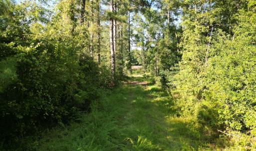Photo #17 of Off Figure 9 Rd, Council, NC 6.5 acres