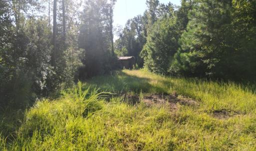 Photo #18 of SOLD property in Off Figure 9 Rd, Council, NC 6.5 acres