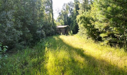 Photo #19 of SOLD property in Off Figure 9 Rd, Council, NC 6.5 acres