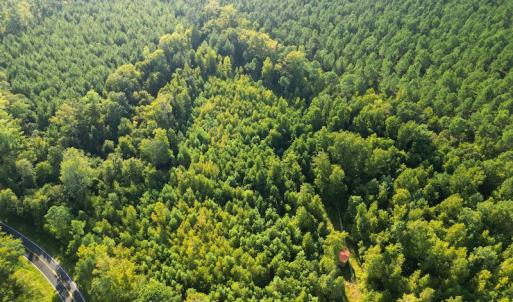 Photo #3 of SOLD property in Off Figure 9 Rd, Council, NC 6.5 acres