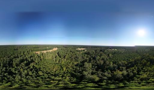 Photo #25 of SOLD property in Off Figure 9 Rd, Council, NC 6.5 acres
