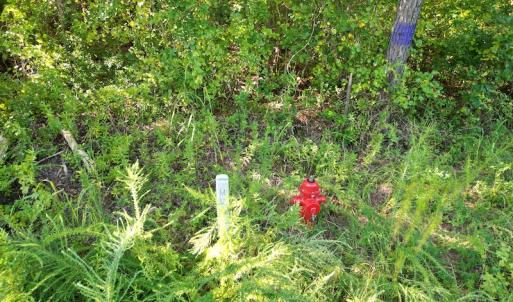 Photo #26 of SOLD property in Off Figure 9 Rd, Council, NC 6.5 acres