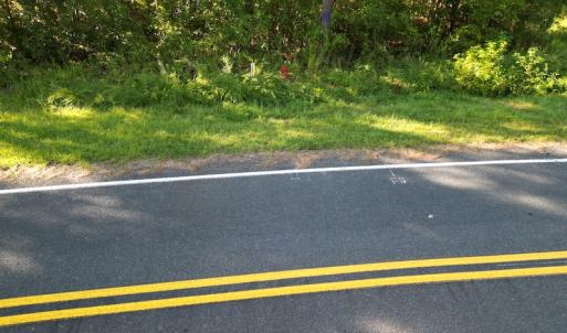 Photo #27 of SOLD property in Off Figure 9 Rd, Council, NC 6.5 acres