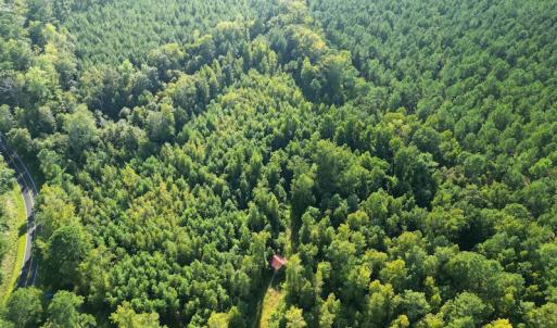 Photo #4 of SOLD property in Off Figure 9 Rd, Council, NC 6.5 acres