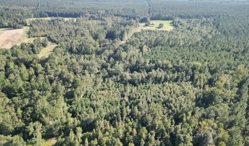 Photo #5 of SOLD property in Off Figure 9 Rd, Council, NC 6.5 acres
