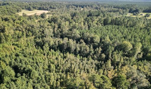 Photo #6 of SOLD property in Off Figure 9 Rd, Council, NC 6.5 acres