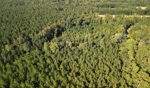 Photo #8 of SOLD property in Off Figure 9 Rd, Council, NC 6.5 acres