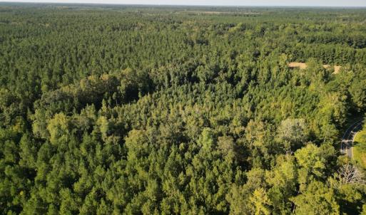 Photo #9 of SOLD property in Off Figure 9 Rd, Council, NC 6.5 acres