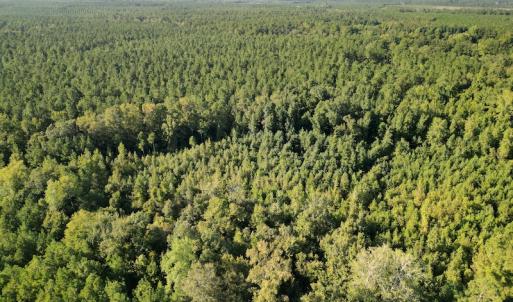 Photo #10 of SOLD property in Off Figure 9 Rd, Council, NC 6.5 acres