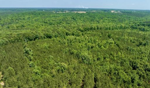 Photo #9 of SOLD property in Off Henschel Lane, Broadway, NC 12.0 acres