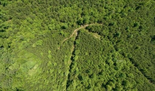 Photo #12 of SOLD property in Off Henschel Lane, Broadway, NC 12.0 acres