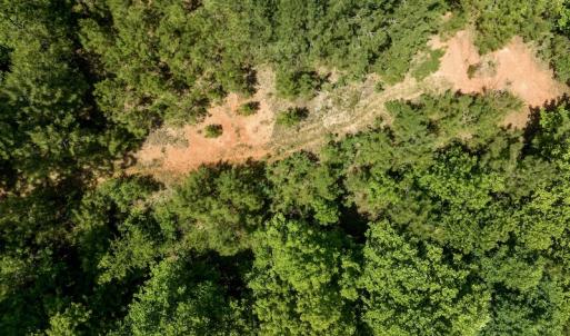 Photo #14 of SOLD property in Off Henschel Lane, Broadway, NC 12.0 acres