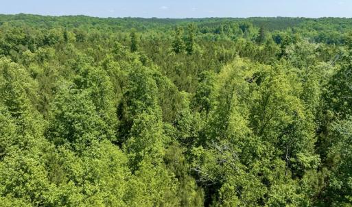 Photo #15 of SOLD property in Off Henschel Lane, Broadway, NC 12.0 acres
