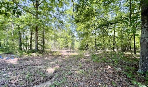 Photo #17 of SOLD property in Off Henschel Lane, Broadway, NC 12.0 acres