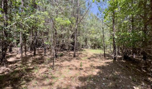 Photo #19 of SOLD property in Off Henschel Lane, Broadway, NC 12.0 acres