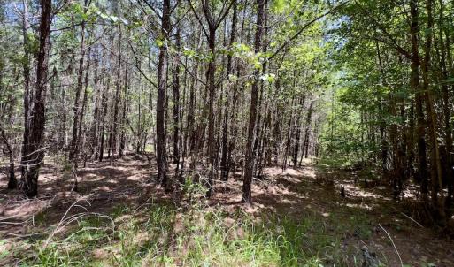 Photo #20 of SOLD property in Off Henschel Lane, Broadway, NC 12.0 acres