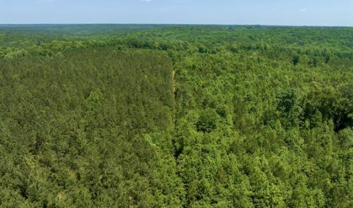 Photo #2 of SOLD property in Off Henschel Lane, Broadway, NC 12.0 acres
