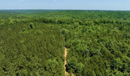 Photo #3 of SOLD property in Off Henschel Lane, Broadway, NC 12.0 acres