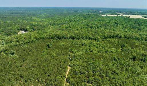 Photo #4 of SOLD property in Off Henschel Lane, Broadway, NC 12.0 acres