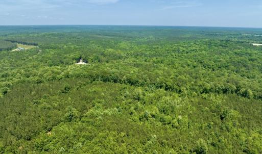 Photo #5 of SOLD property in Off Henschel Lane, Broadway, NC 12.0 acres