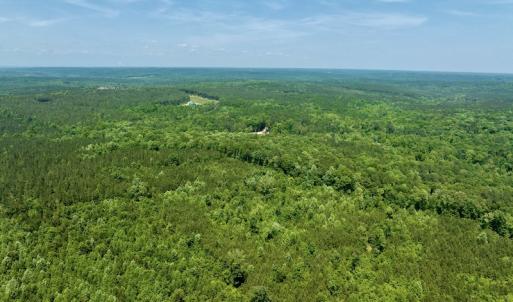 Photo #6 of SOLD property in Off Henschel Lane, Broadway, NC 12.0 acres