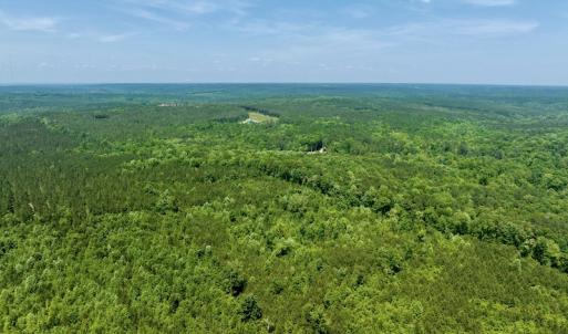 Photo #7 of SOLD property in Off Henschel Lane, Broadway, NC 12.0 acres