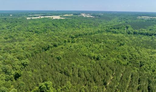 Photo #8 of SOLD property in Off Henschel Lane, Broadway, NC 12.0 acres